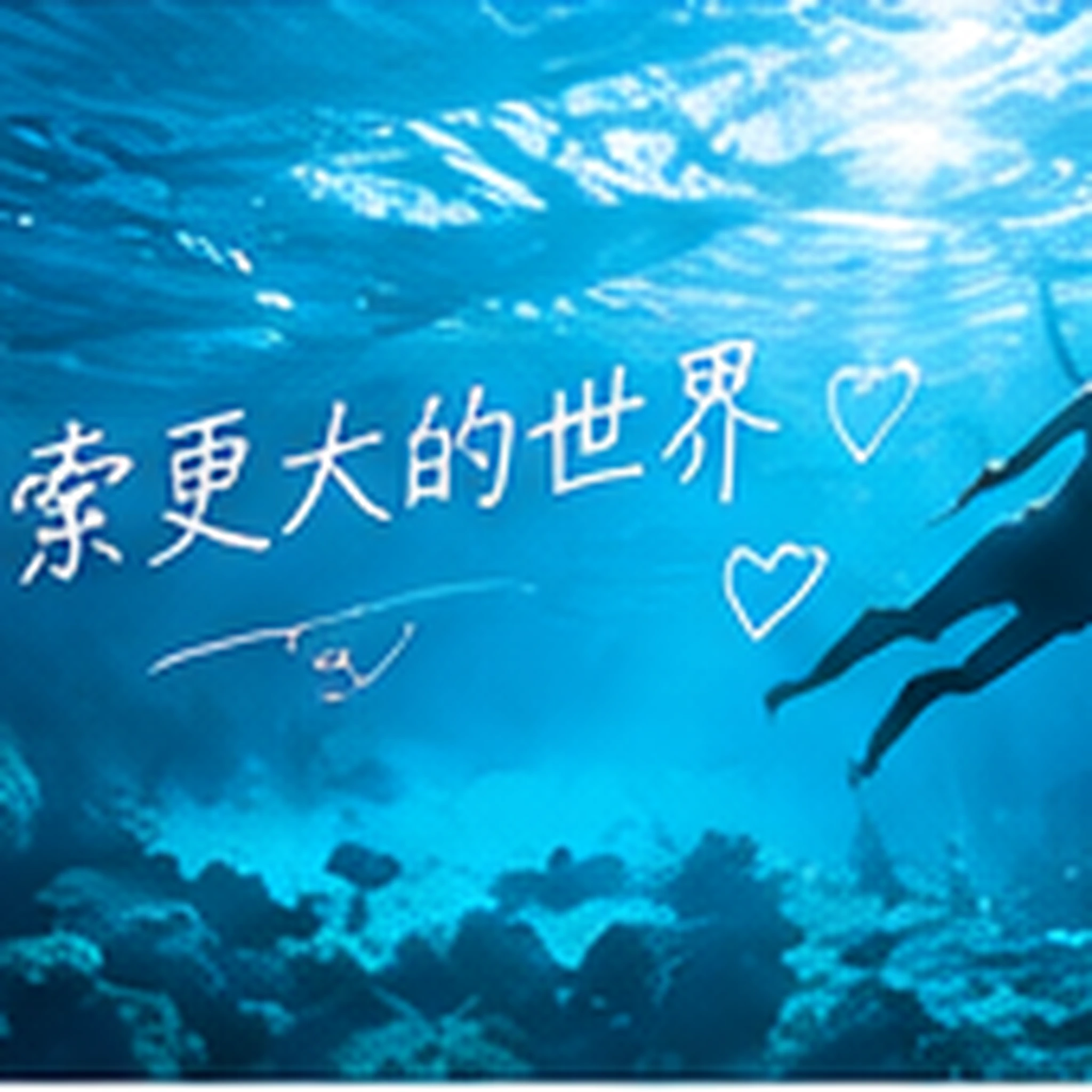 纸飞机频道